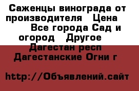 Саженцы винограда от производителя › Цена ­ 800 - Все города Сад и огород » Другое   . Дагестан респ.,Дагестанские Огни г.
